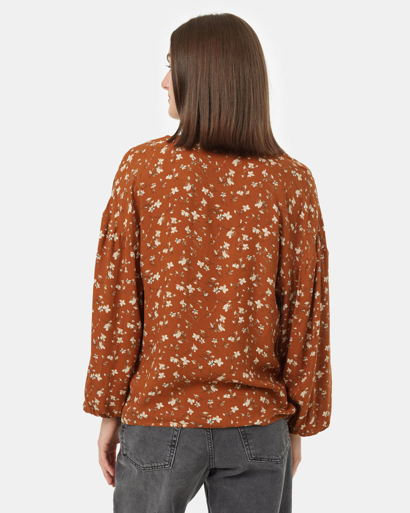 Brown-V-Neck-Crepe-Long-Sleeve-Blouse
