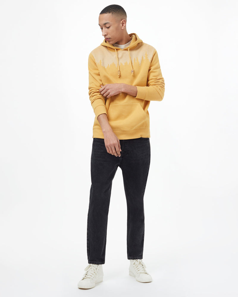 SWEET BIRCH YELLOW HEATHER_gallery