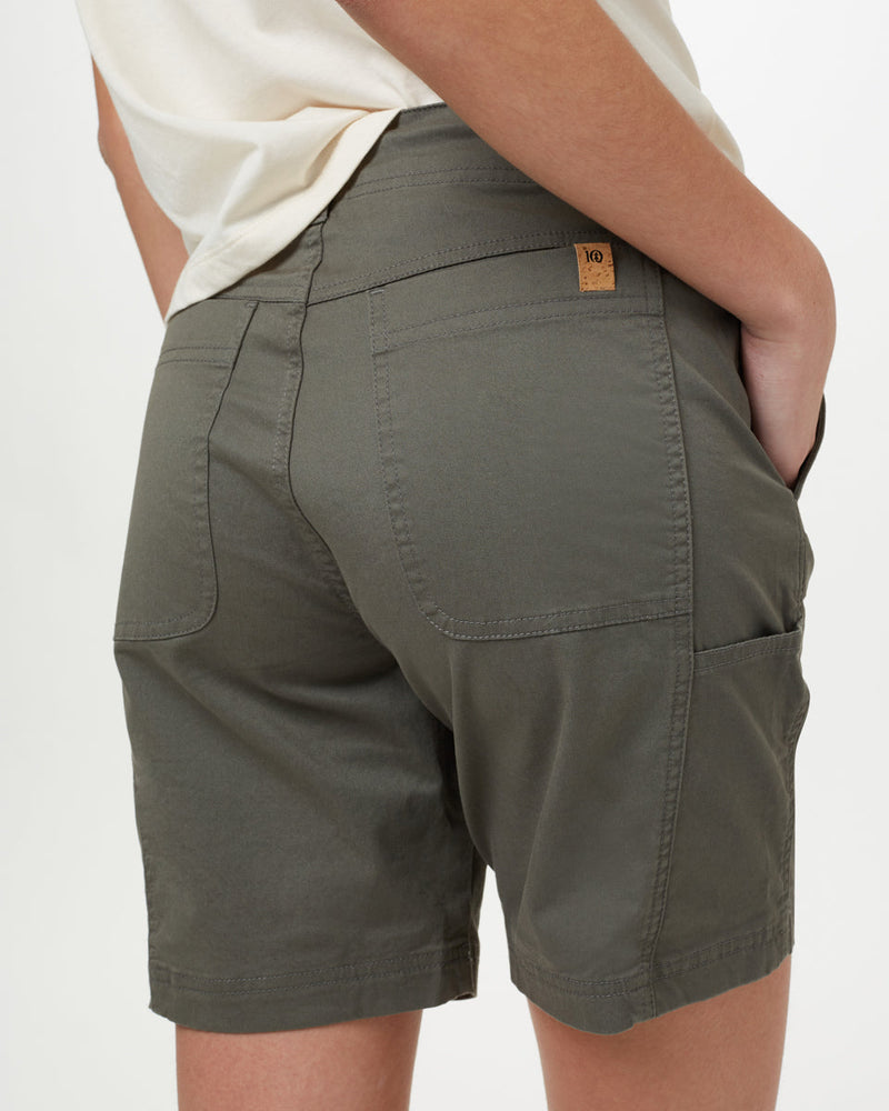 CASTOR GREY_gallery
