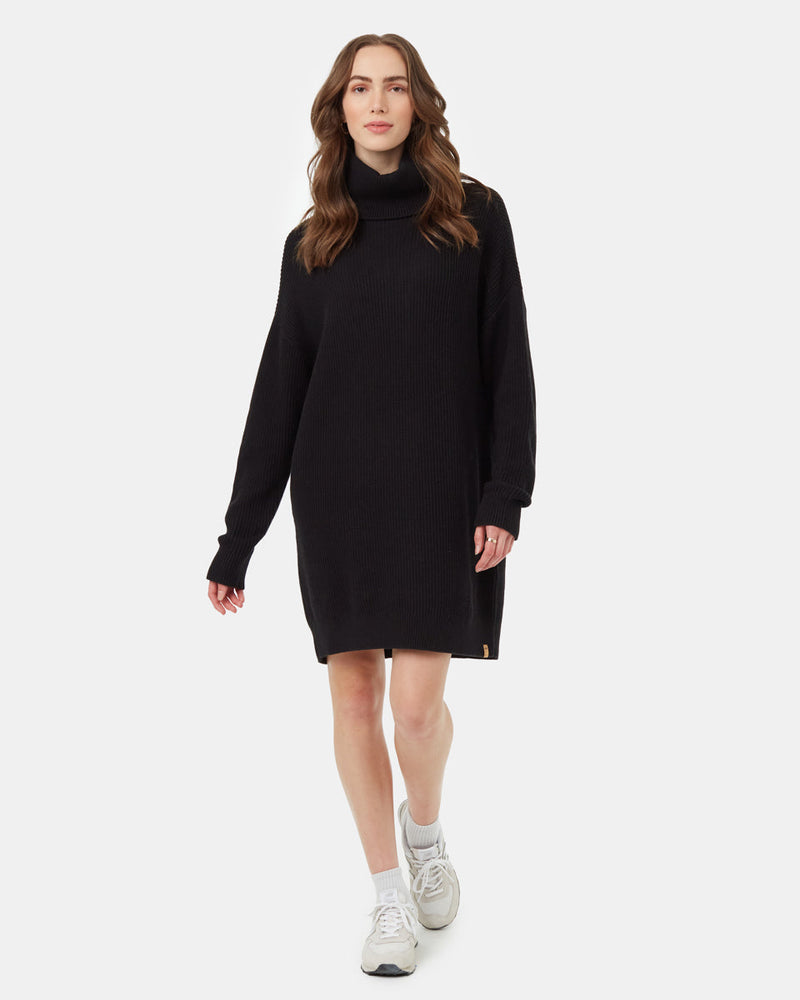 Highline Oversized Turtleneck Dress-