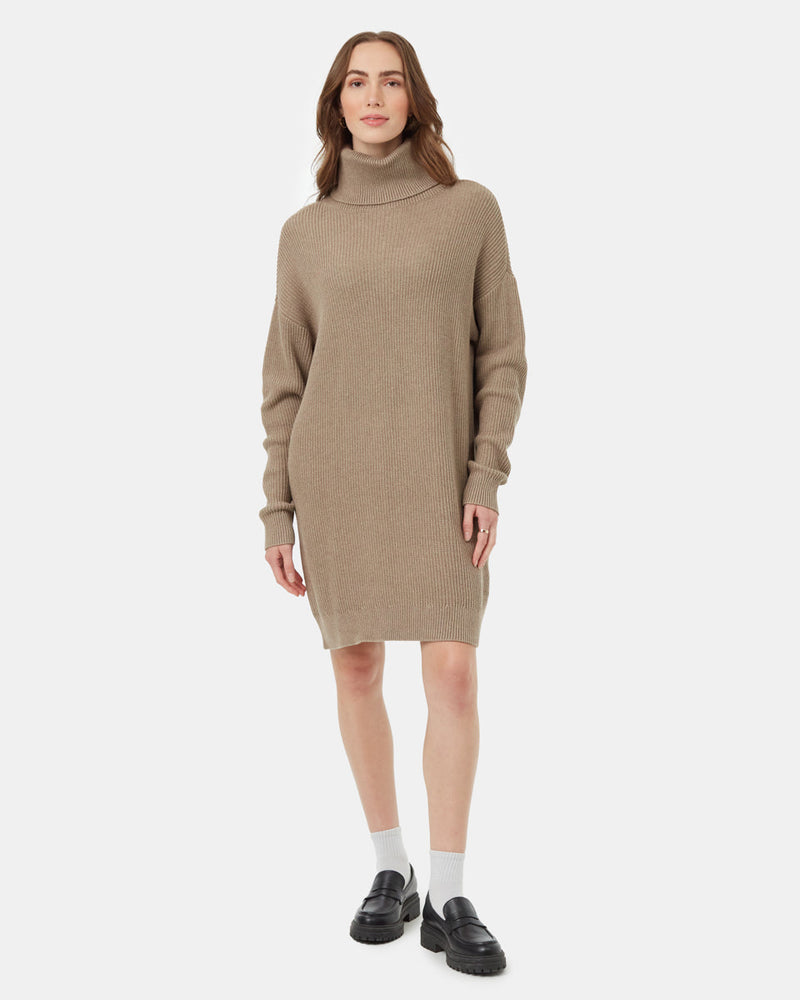 Highline Oversized Turtleneck Dress-